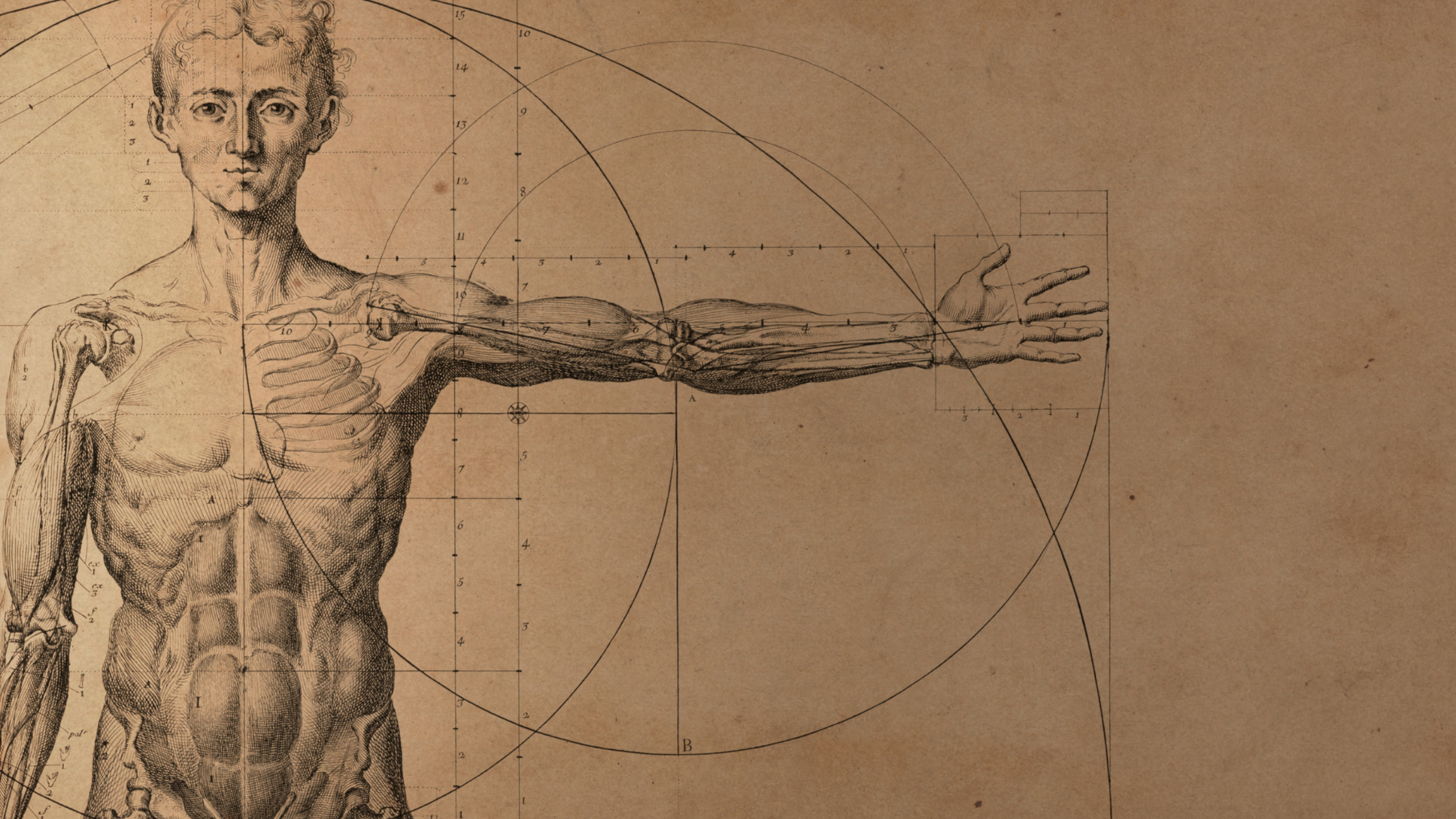 Anatomy & Physiology